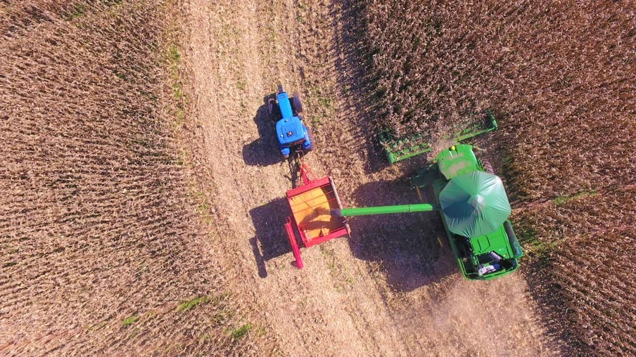 Agricultores de pequenas propriedades protagonizam no cenário econômico nacional