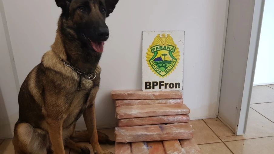 BPFron apreende menor viajando com maconha na mala em Marechal