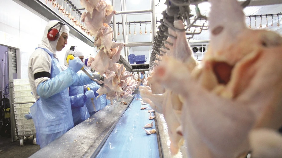 Carne de frango: Paraná responde por 40% do total exportado no Brasil