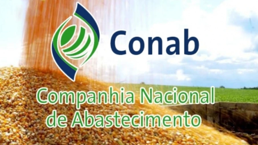 Conab contrata autônomos para remoção de 6,2 mil toneladas de milho