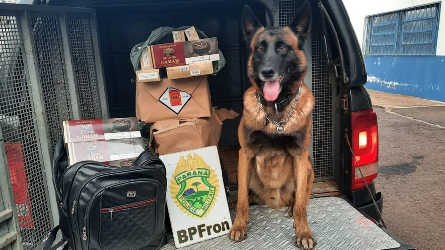 BPFron apreende em Cascavel cigarros de cravo contrabandeados do Paraguai