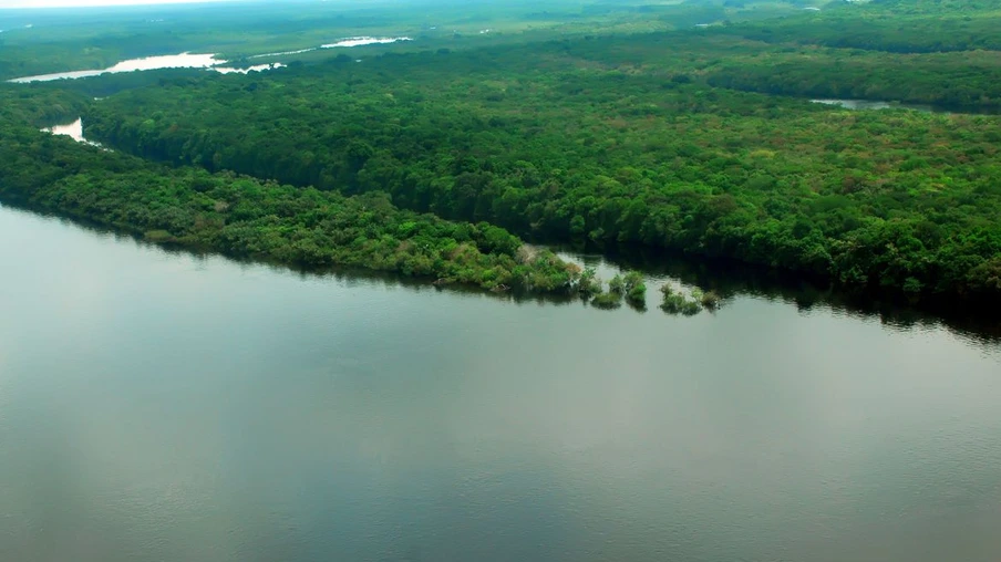 Conselho do PPI recomenda concessão de florestas no Amazonas