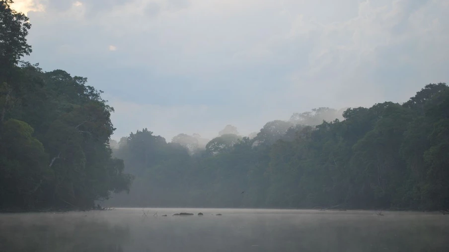 Floresta Nacional do Amapá