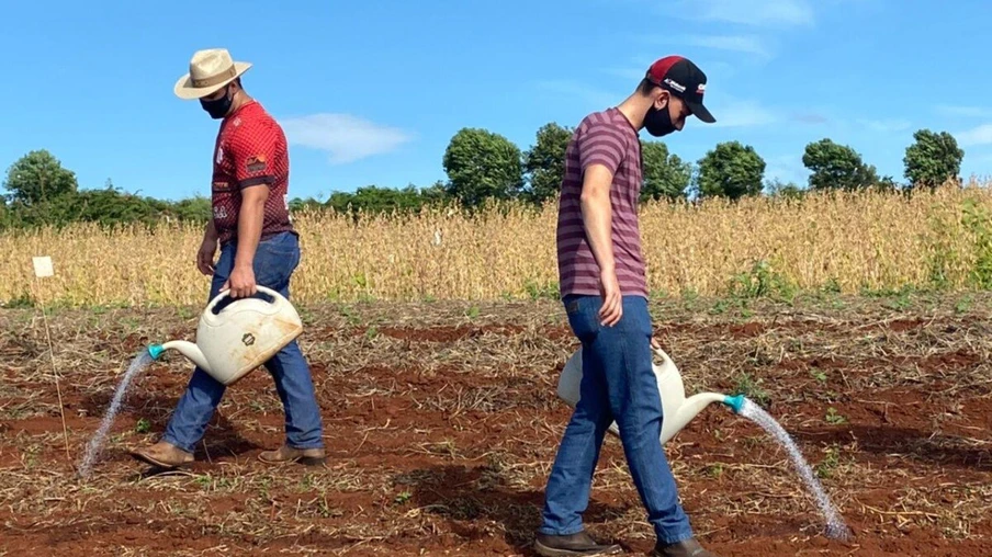 Fazenda Escola da Univel: colocando em prática o conhecimento