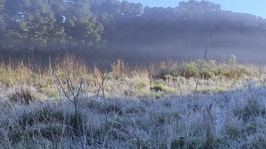 Frio aumenta a partir desta quarta e Sul do BR tem mais geada