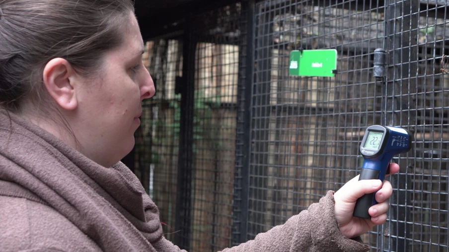 Parque das Aves proporciona cuidados especiais aos animais no inverno