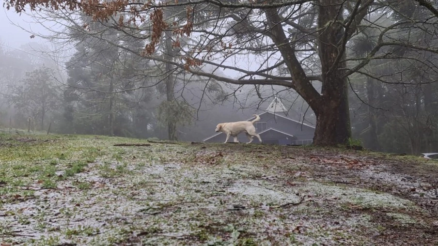 Neve é registrada pela primeira vez em 2021 em Santa Catarina