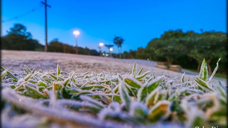 Após geadas fortes, frio “alivia” um pouco