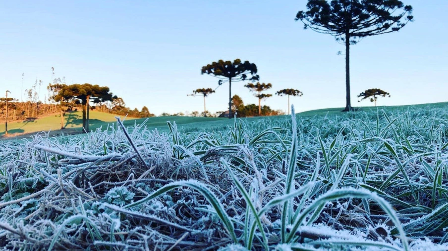 Paraná tem 16 cidades com temperaturas negativas