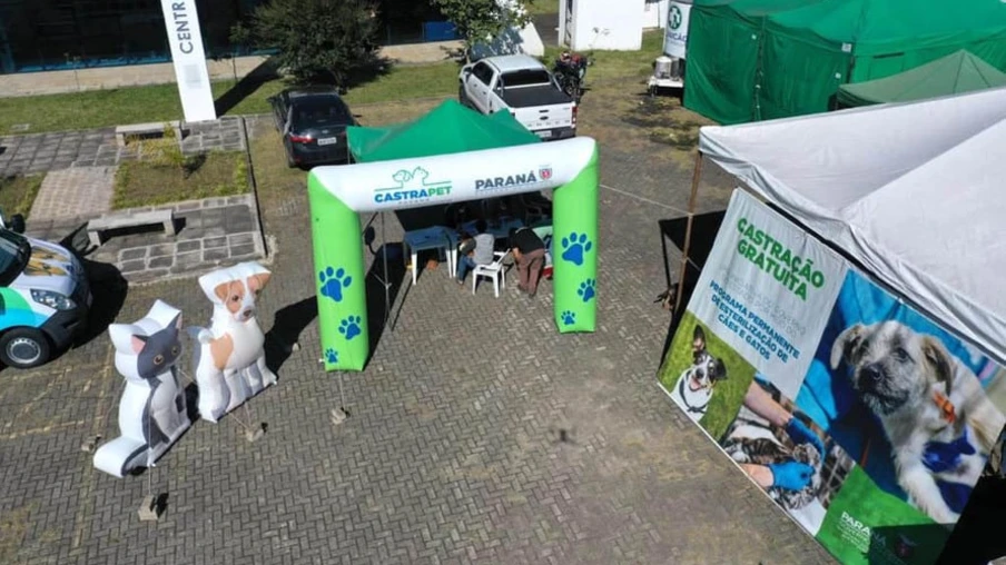 O Programa Permanente de Esterilização de Cães e Gatos – Castrapet chega a Campo Mourão nesta terça-feira (03). Ao todo, 405 animais são aguardados no castramóvel do Governo do Paraná, entre cães e gatos.  O programa é permanente e a meta é atingir 100% do Estado. -  Curitiba, 02/08/2021  -  Foto: Alessandro Vieira/AEN