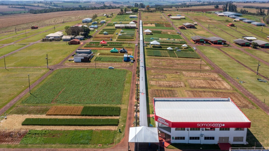 Show Rural de Inverno mostra trigo com produtividade de 6 mil quilos/ha