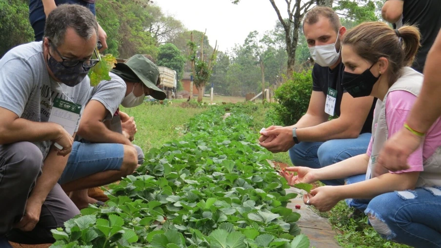 Produtores rurais recebem capacitação em Olericultura