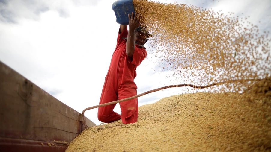 Valor Bruto da Produção Agropecuária de 2022 é estimado em R$ 1,2 trilhão