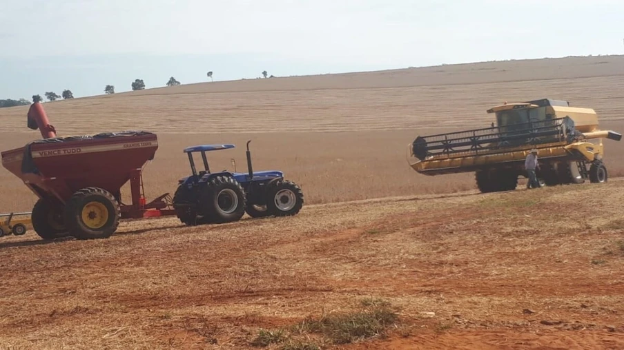 Chuvas de fevereiro ainda foram insuficientes para o setor agrícola