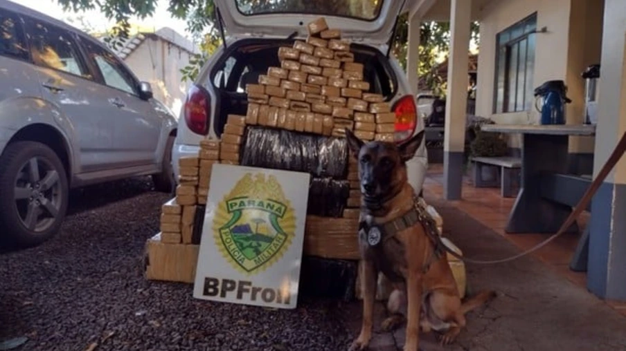 BPFRON apreende mais de 200 Kg de maconha em Santa Helena