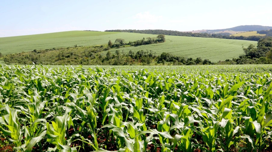 Sistema de Agricultura do Estado orienta produtores sobre uso de fertilizantes no solo