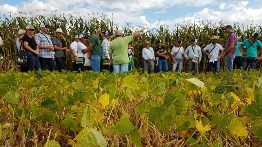 Projeto Feijão e Milho, do IDR-Paraná, apresenta técnicas de manejo em Ponta Grossa