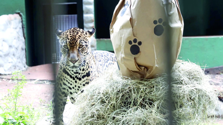 Zoológico ‘comemora’ Páscoa e  abre normalmente no feriadão