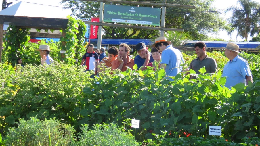 Vitrine Tecnológica do Show Rural poderá se  tornar centro de estudos