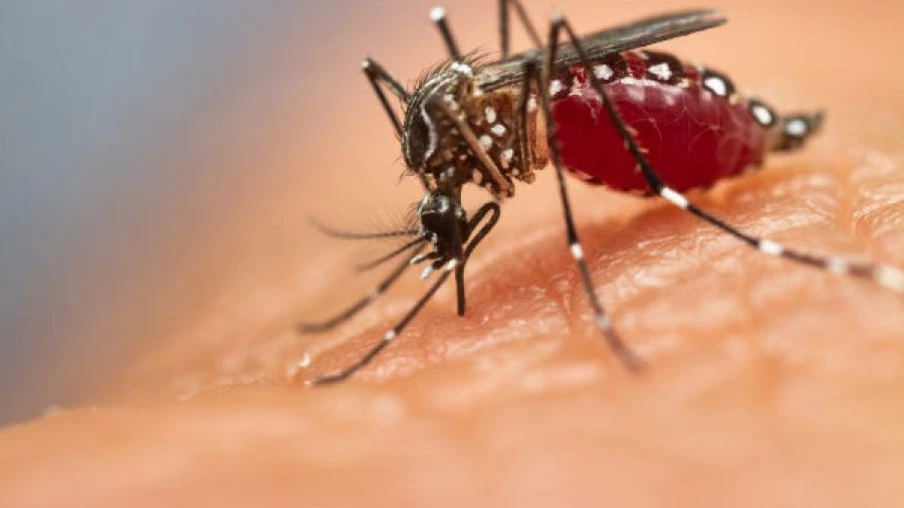 Cascavel segue “liderando” ranking de mortes por dengue no Paraná