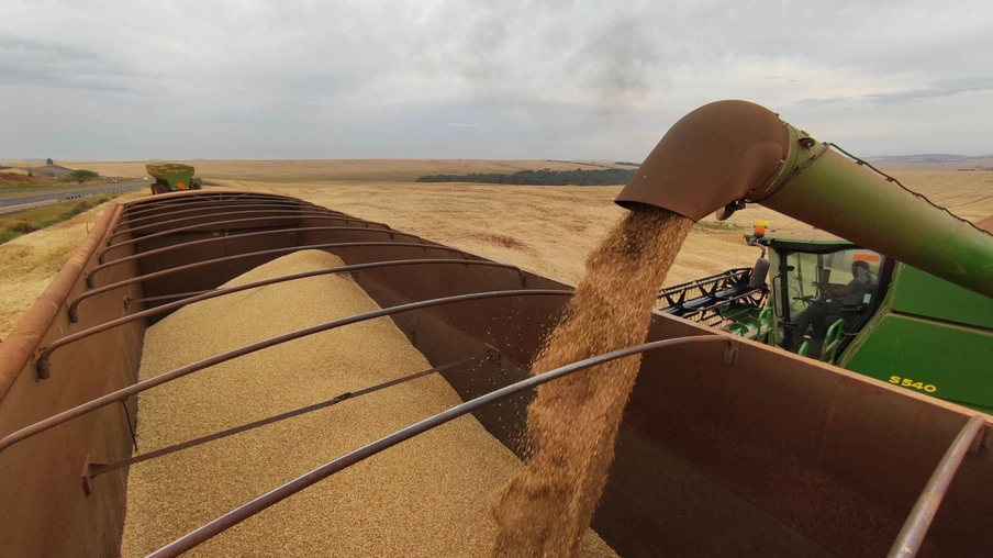 Projeção da safra de grãos 2023/24 cai para 306,4 milhões de toneladas