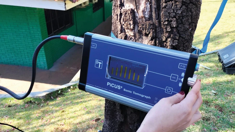 Cascavel passa usar tomógrafo para avaliar “saúde das árvores” com maior eficiência