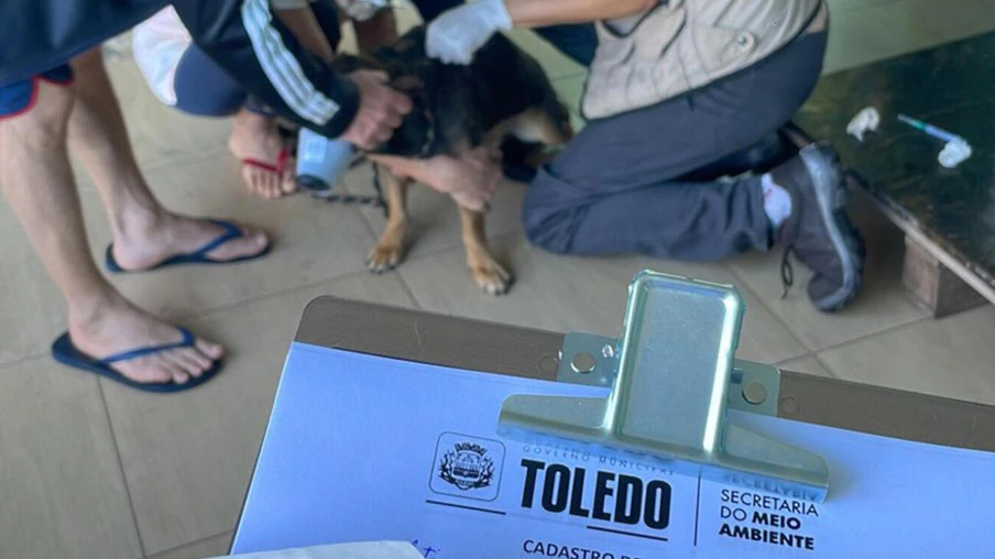 Proteção Animal de Toledo promove  campanha de vacinação antirrábica