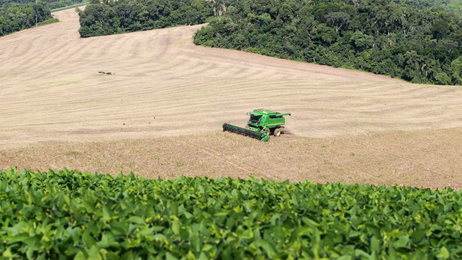 Área de soja deve crescer e de milho diminuir no Paraná, aponta estimativa da safra 23/24