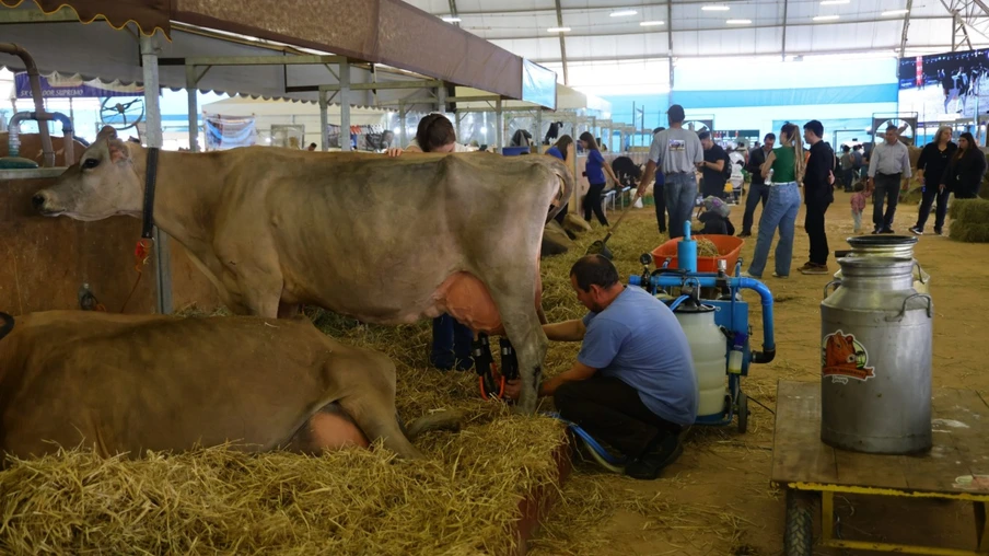 Paraná tem nove cidades na liderança da produção agropecuária nacional