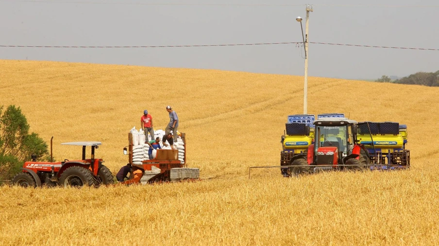 Plantio de milho. Entre Rios, 12/09/2019 Foto:Jaelson Lucas / AEN