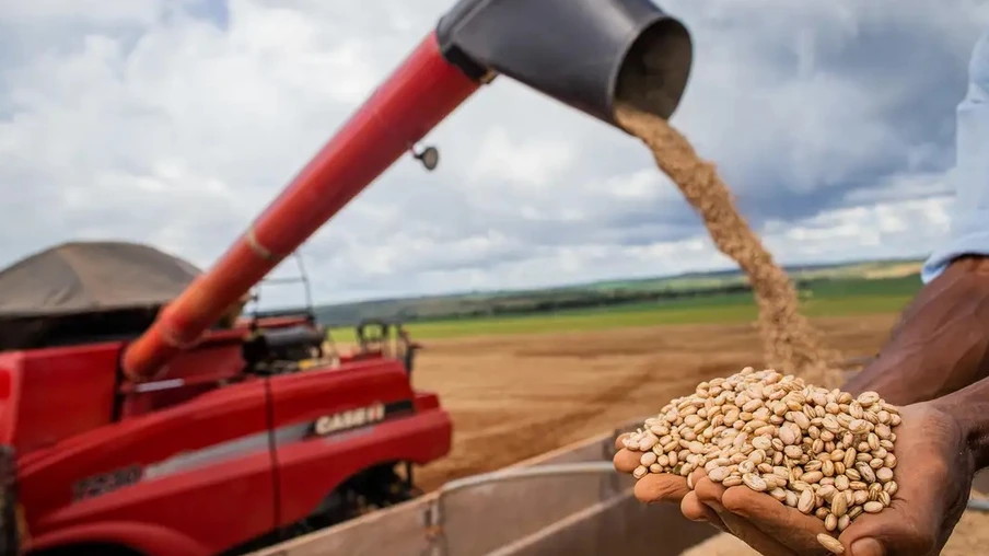 Conab: produção de grãos deve atingir 312 milhões de toneladas