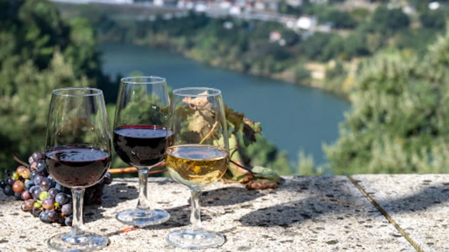 Explorando os sabores de Portugal: rotas de vinho revelam tesouros enológicos