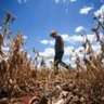 CNA defende a suplementação de R$ 2,1 bilhões ao Seguro Rural em 2024