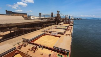 porto de paranaguá exportação soja