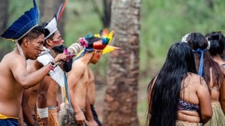 Censo mostra o número de indígenas no Paraná