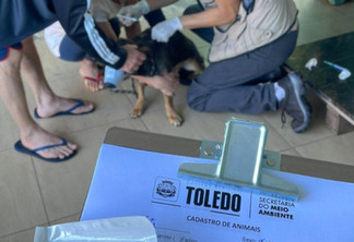 Proteção Animal de Toledo promove  campanha de vacinação antirrábica