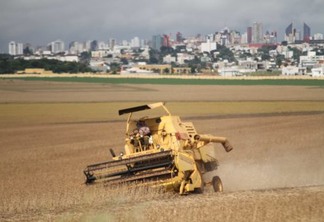 O Paraná tem margem para ampliar o agro