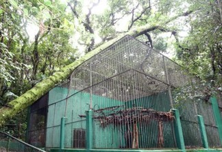 Ainda em fase de limpeza, Zoo de Cascavel reabre terça-feira