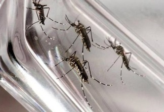 Semana registra mais 662 casos de dengue no Paraná