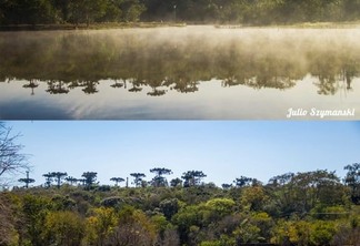 Antes e depois mostra a queda na vazão do Lago Municipal de Cascavel, evidenciando o assoreamento - Foto: JULIO SZIMANSKI