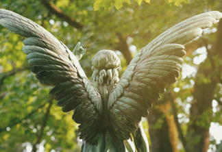 Coluna Postura Sistêmica: Carta para os anjos