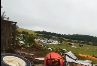Temporal destrói propriedade e mata animais em Serranópolis