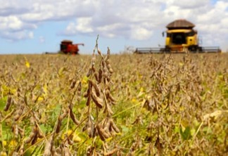 Paraná pode colher 40,9 milhões de toneladas de grãos