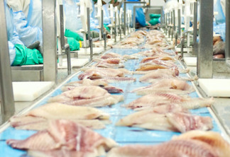 Unidade industrial de peixes tem capacidade de produção de 140 mil tilápias por dia - Foto: Assessoria 