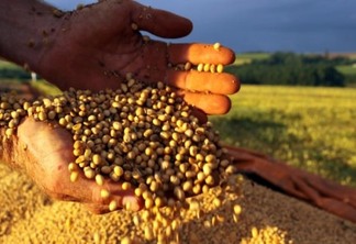 Agronegócio, especialmente a safra de grãos, teve importante impacto positivo no PIB - Foto: ANPR