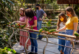 Parque das Aves espera receber 9 mil turistas no feriadão da Independência