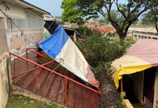 Temporal derruba árvores, destelha casas e deixa imóveis sem luz no Paraná