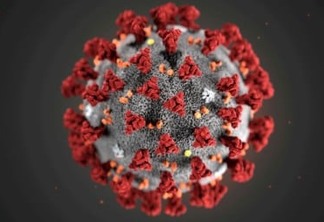 Foz registra 12 novos casos de Coronavírus em 24 horas