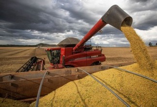 Safra agrícola cai 0,4% em 2021, mas pode ter recorde em 2022