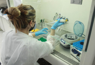 Laboratório da Adapar é credenciado para diagnóstico de Influenza Aviária e Doença de Newcastle por PCR em tempo real - cURITIBA, 28/03/2022
